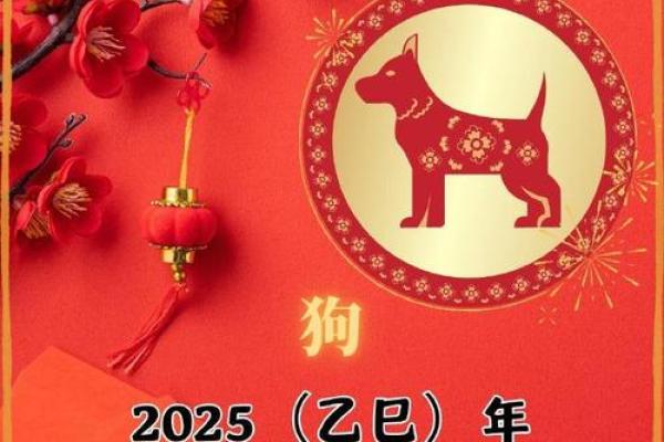 2025年属狗适合理发的日子(生肖狗在2025年的运势以及注意月份)