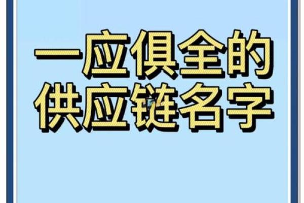 供应链公司起名大全集(供应链公司起名字大全免费)
