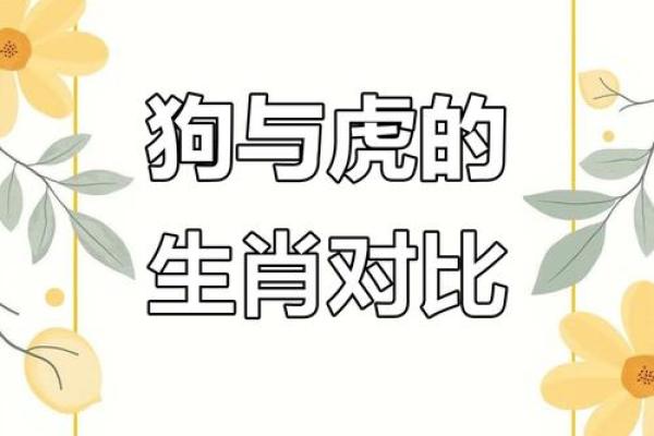 94狗98龙结婚吉日