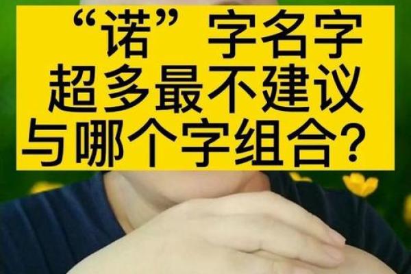 用诺字取公司名字(诺字配什么字好听公司名字)