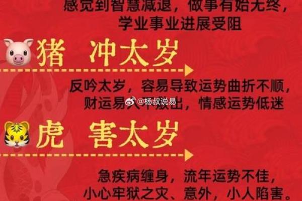 18年属猪结婚吉日(2020年属猪结婚吉日)