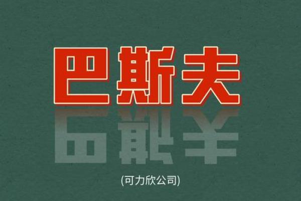 德国公司名字大全(德国公司名字大全英文)