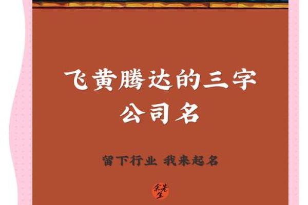 带飞字的公司名字(带有飞字的公司名称)