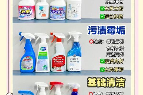 清洁公司起名参考大全(清洁公司起名参考大全图片)
