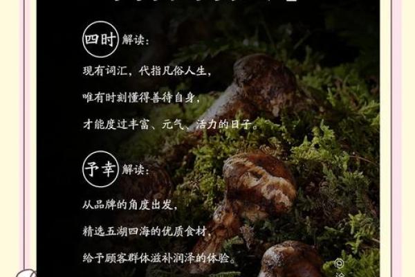 食材公司取名(食材公司起名)