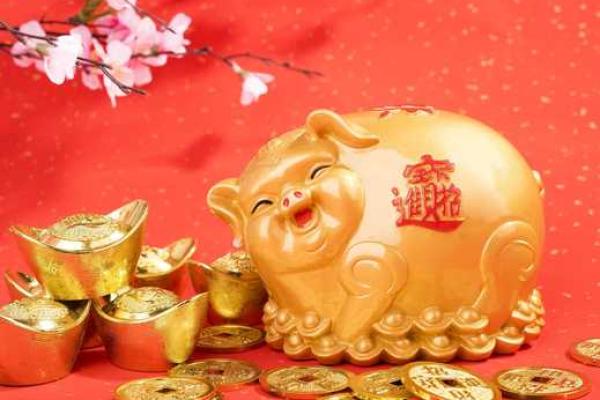 2025属猪巨蟹座运势(2025属猪巨蟹座运势如何)