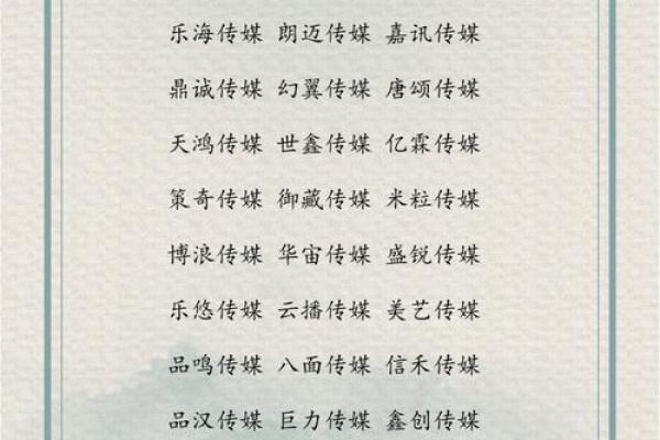 传媒公司起什么名字好(传媒公司取什么名字有创意)