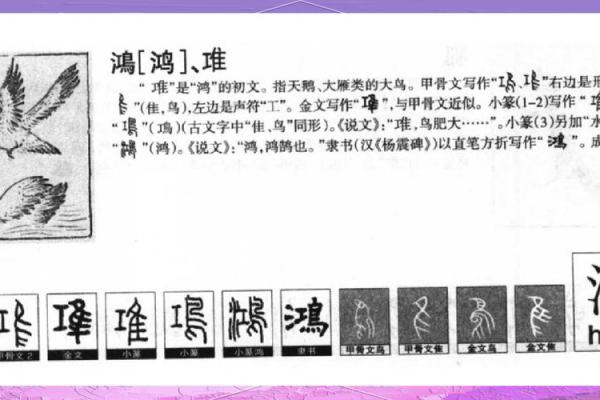 鸿字配什么字最好公司名(与鸿字搭配的公司名字)