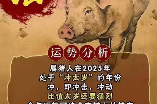 2025年3月份属猪适合理发吉日一览表(属猪的今天适合理发吗)