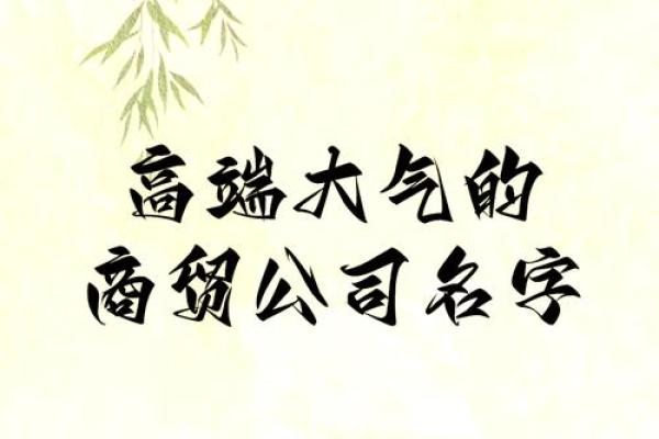 商贸公司取什么名字好听(商贸公司取什么名字好听女生)