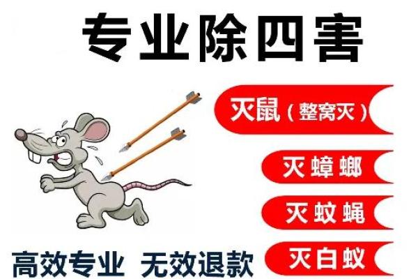 虫控公司取名字大全(虫控公司取名字大全集)