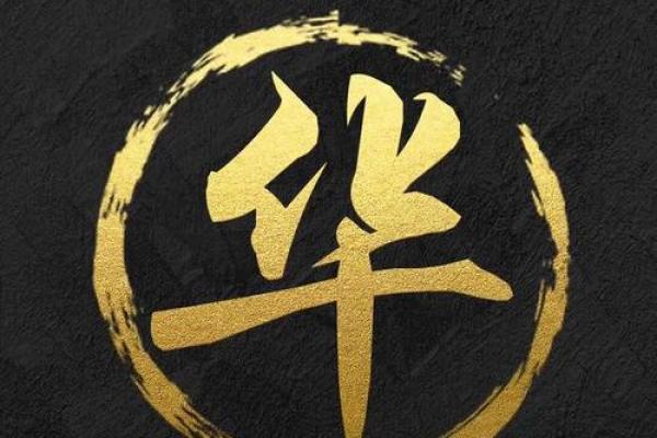 华字的公司起名大全(华这个字取公司名)