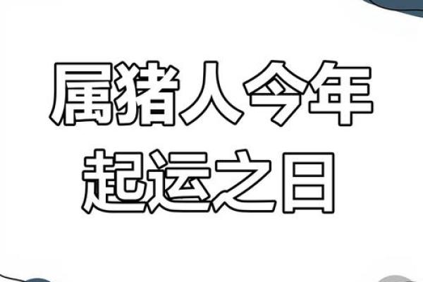 2025年3月份属猪安门黄道吉日有哪几天 2025年3月属猪安门黄道吉日精选指南