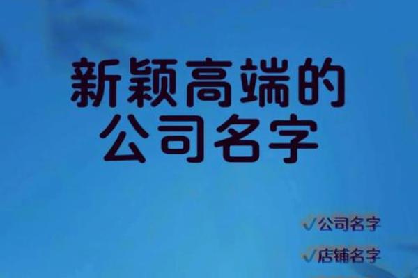 服装公司好听的名字(服装公司好听的名字大全)