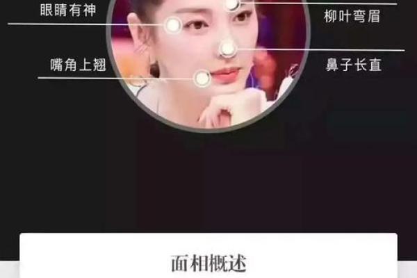 公司名字测试凶吉(公司名称测凶吉 好名字)