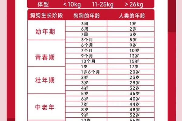 221年属狗的结婚吉日