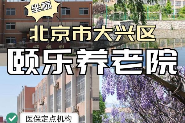养老公司起个什么名字好(有新意的养老公司名字)