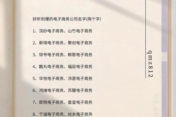 电商公司起名参考(电商公司起名参考什么)