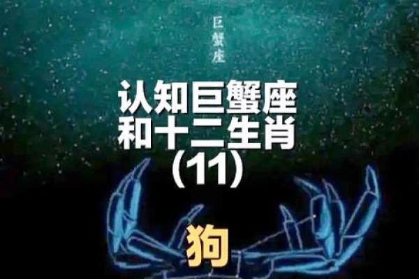 巨蟹座属哪个生肖最聪明(巨蟹什么属相)