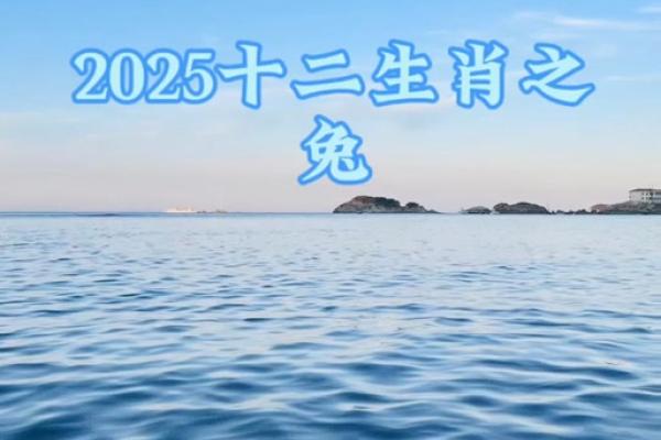 2025年属兔适合理发的日子(2025年属兔适合理发的日子是什么)