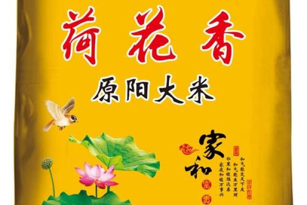 大米公司取什么名字(大米公司名称大全)