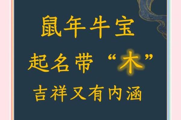 公司起名带木字旁的名字(公司起名木字旁的字有哪些)