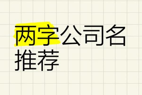两字公司名字大全(两字公司名字大全 必过)