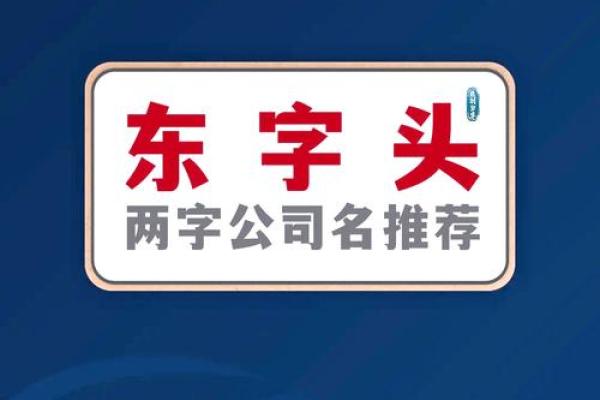 两字公司名字大全(两字公司名字大全 必过)
