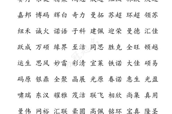 博起公司名(公司名带博字的有哪些)