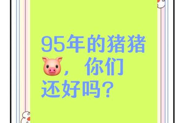95年属猪结婚的吉日是