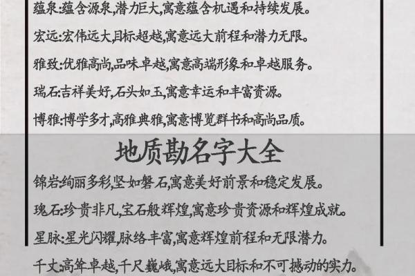 技术服务类公司起名(技术服务类的公司)