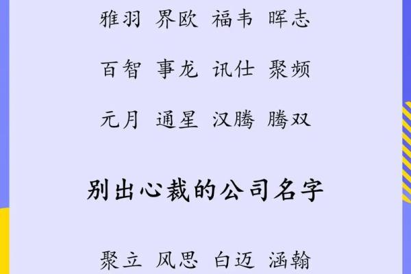 电商公司名字起名推荐(电商公司起名大全最新)