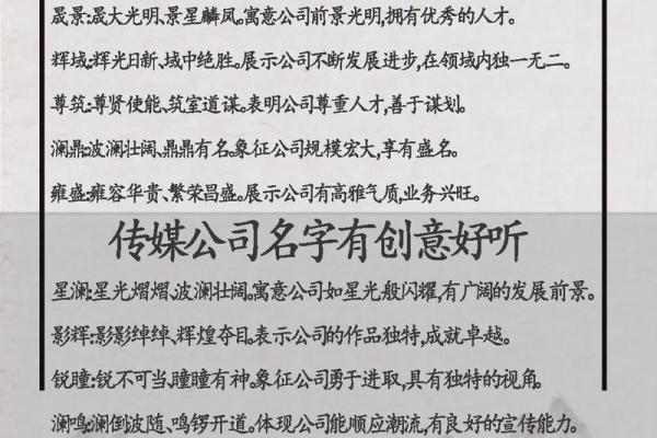 公司名称取什么好听(公司名称起什么好听)