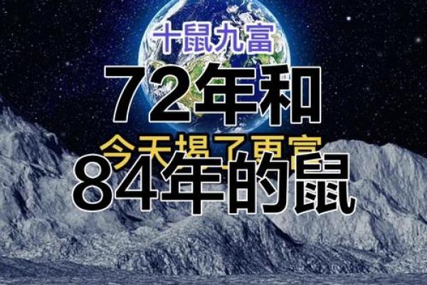 1972年属鼠公司起名(1972年属鼠的最佳婚配)