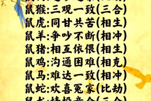 1972年属鼠公司起名(1972年属鼠的最佳婚配)