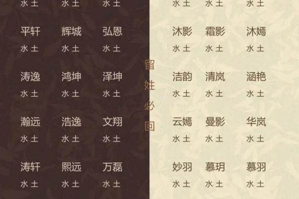 五行缺木取公司名字(五行缺水女孩名字最佳的字)