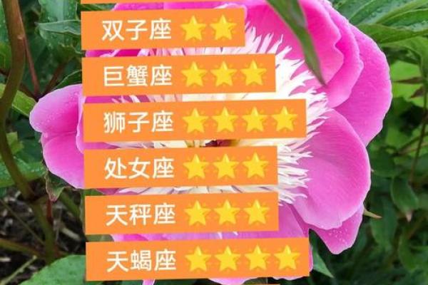 巨蟹座今日财运查询(巨蟹座今日财运查询运势)