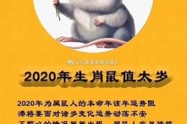 11月属鼠人结婚吉日查询(11月属鼠人结婚吉日查询)
