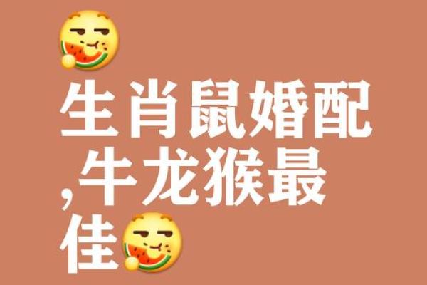 11月属鼠人结婚吉日查询(11月属鼠人结婚吉日查询)