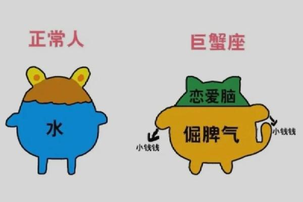 巨蟹座什么向(巨蟹座 象)