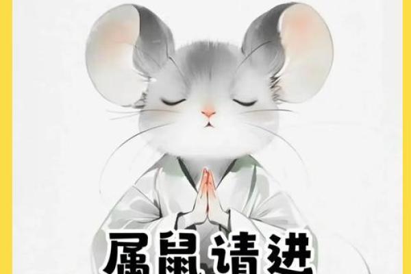 2025年3月份属鼠的人最佳安门吉日大全 2025年对属鼠的人怎么样(2035年属鼠的多大)