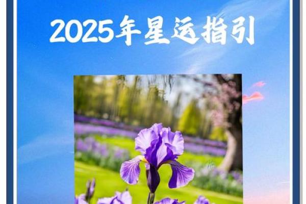 2025年狮子座3月份安门吉日推荐_2025年3月狮子座安门吉日推荐最佳日期解析