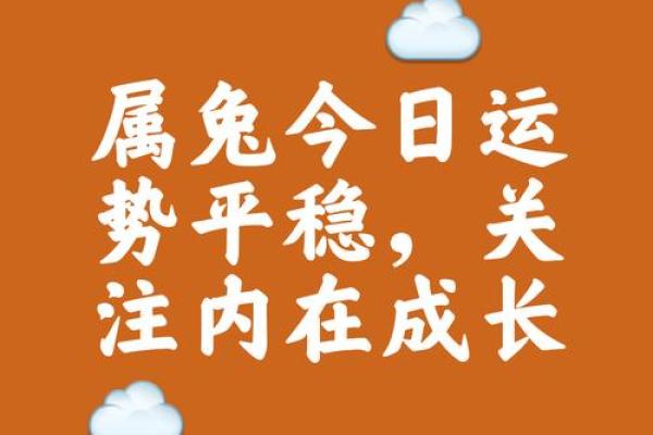 2025男属兔领证吉日(2020年属兔适合领证的日子)