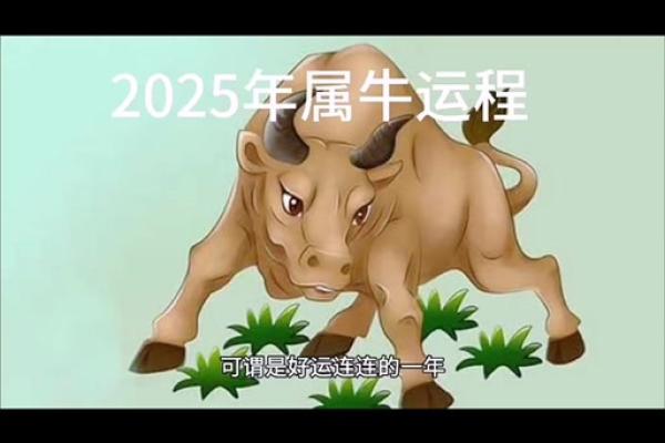 2025年3月份属牛适合理发吉日一览表(属牛人2025年)
