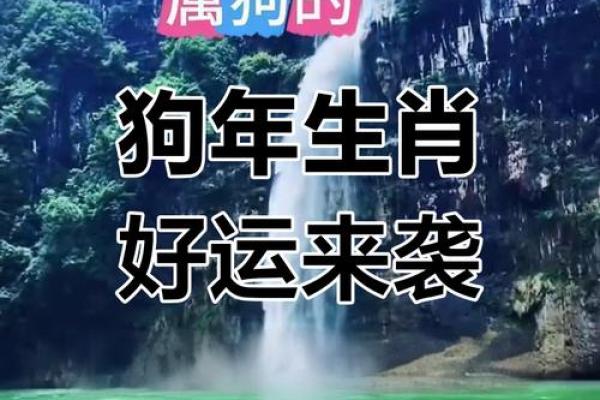 2025年属狗适合乔迁的日子(2021年属狗人乔迁新居吉日)