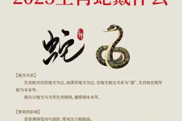 2025年3月份生肖蛇安门好吉日分享_2025蛇年哪个月份出生的人最好(2025年蛇年宜生子的属相)
