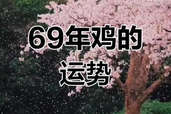 1993属鸡女结婚吉日(1993年属鸡的结婚大利月)