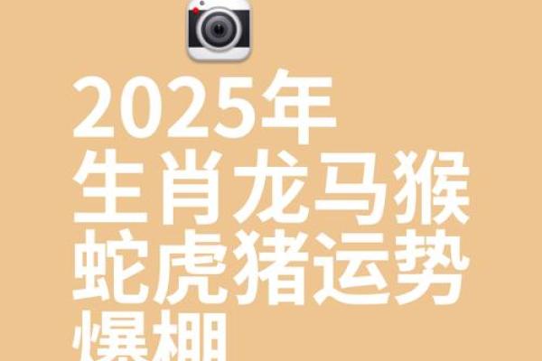 2025年3月份属龙适合乔迁吉日一览表(属龙2023年运势及运程_2025年属龙人的全年运势)