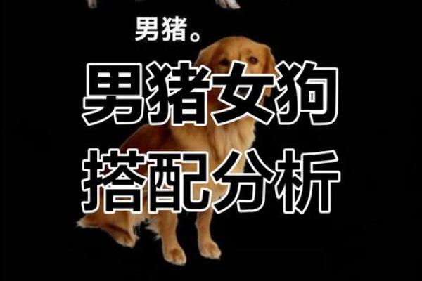 94男狗今年结婚吉日