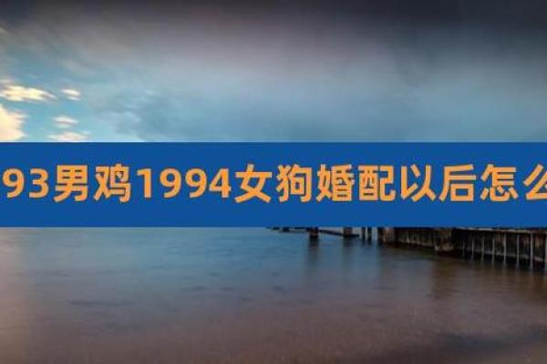 94男狗今年结婚吉日